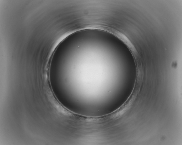 X0000091000908200708161935