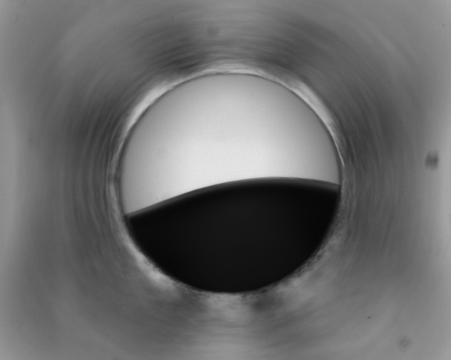 X0000091000909200708161935
