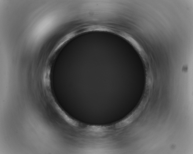 X0000091000910200708161935