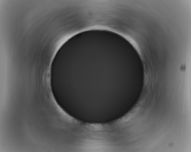 X0000091000911200708161935