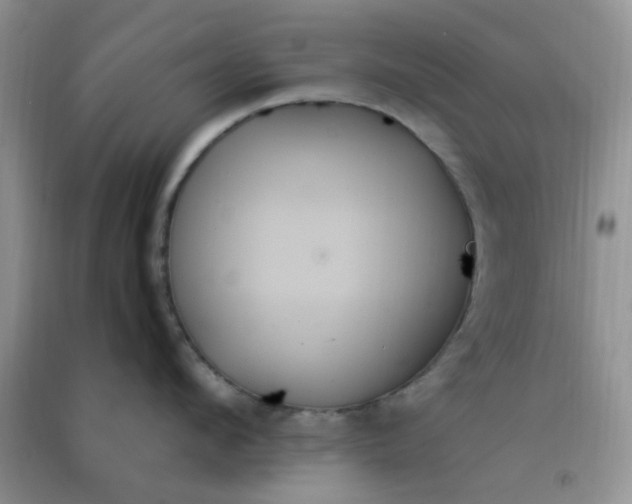 X0000091000912200708161935