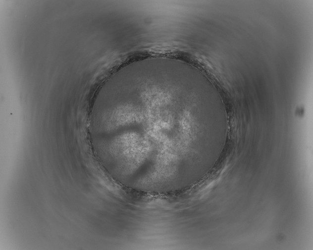 X0000091000913200708161935