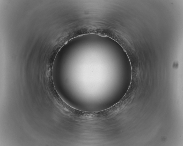 X0000091000914200708161935