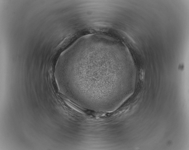X0000091000915200708161935