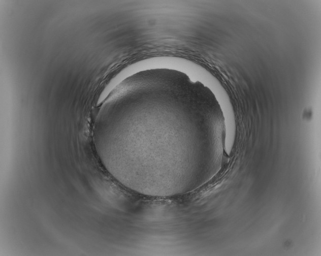 X0000091000916200708161935