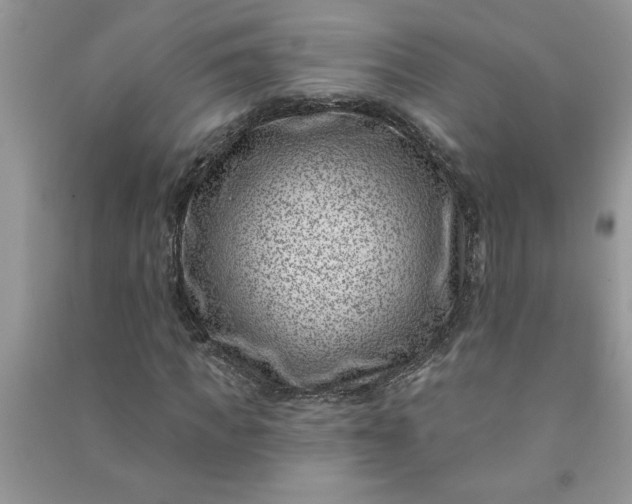 X0000091000917200708161935