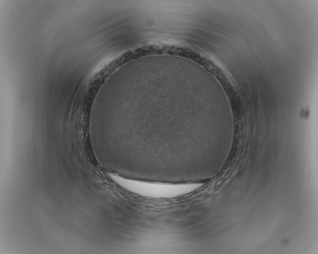 X0000091000919200708161935