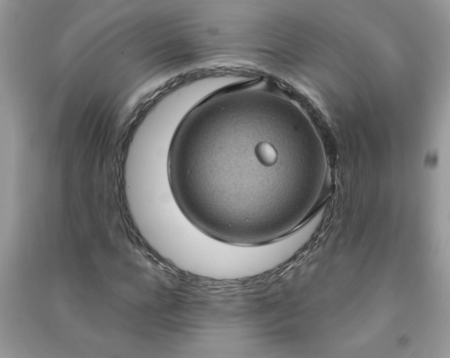X0000091000920200708161935