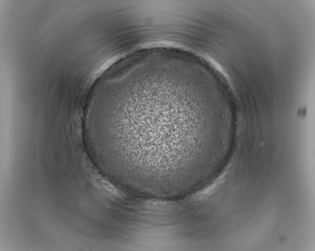 X0000091000921200708161935