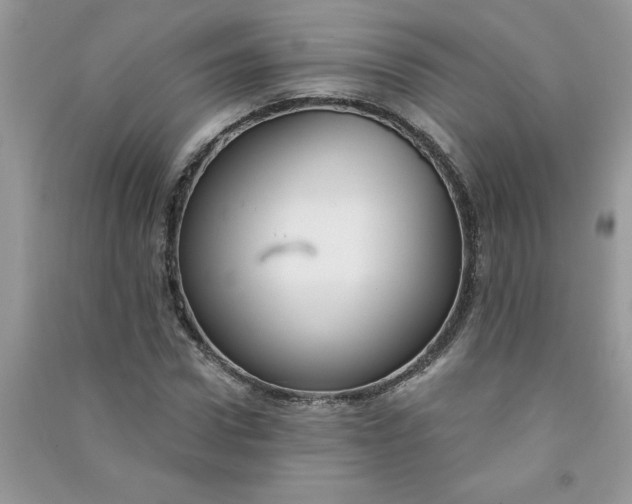 X0000091000922200708161935