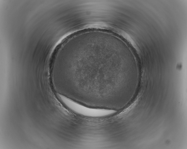 X0000091000923200708161935