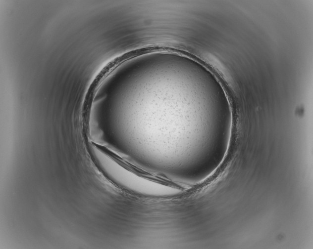 X0000091000924200708161935