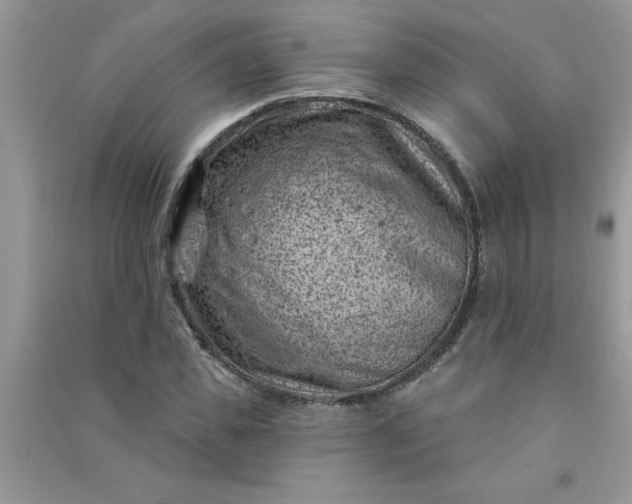 X0000091000925200708161935