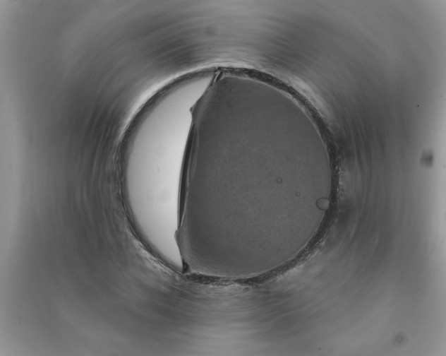 X0000091000926200708161935