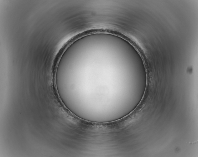X0000091000927200708161935