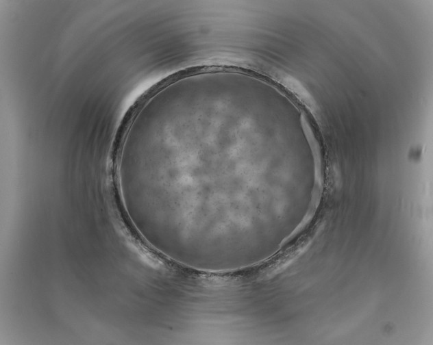 X0000091000928200708161935