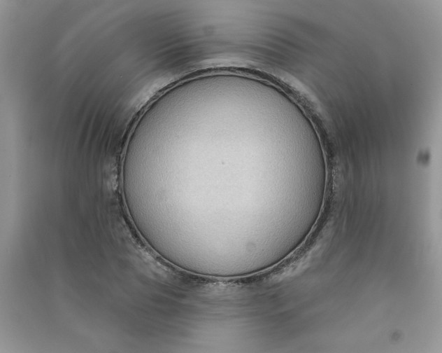 X0000091000929200708161935