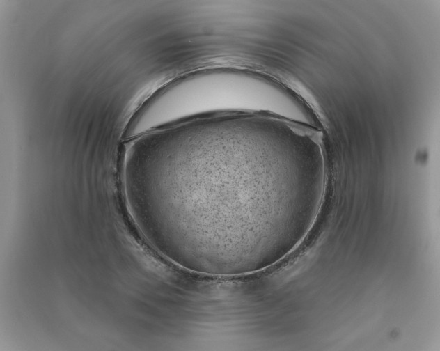 X0000091000930200708161935