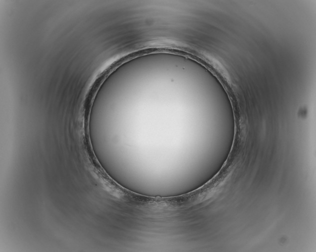 X0000091000931200708161935