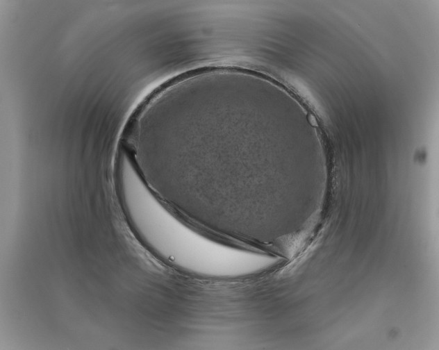 X0000091000932200708161935