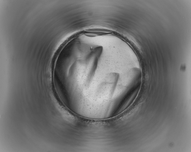X0000091000934200708161935