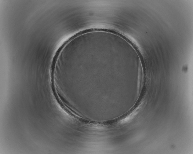 X0000091000935200708161935