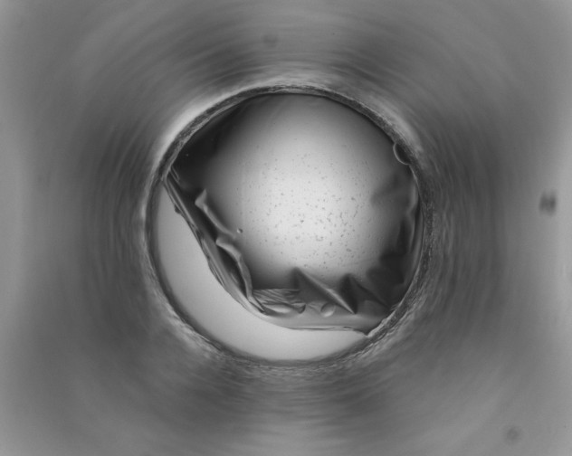 X0000091000936200708161935