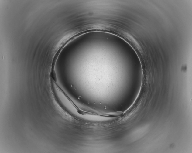 X0000091000938200708161935