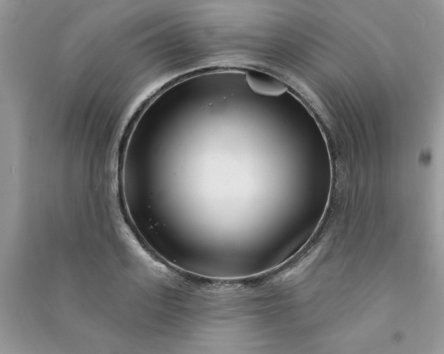 X0000091000939200708161935