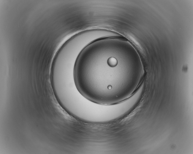 X0000091000940200708161935