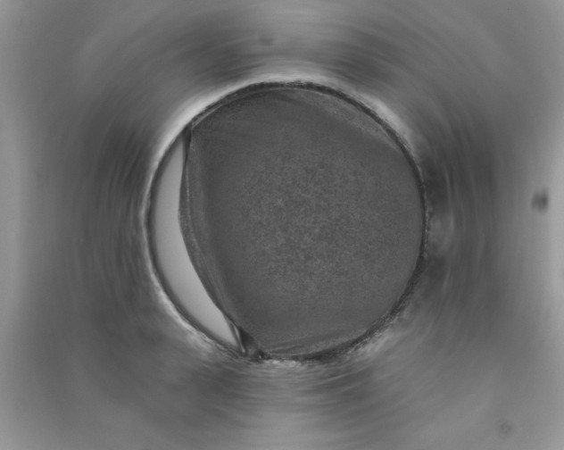 X0000091000943200708161935