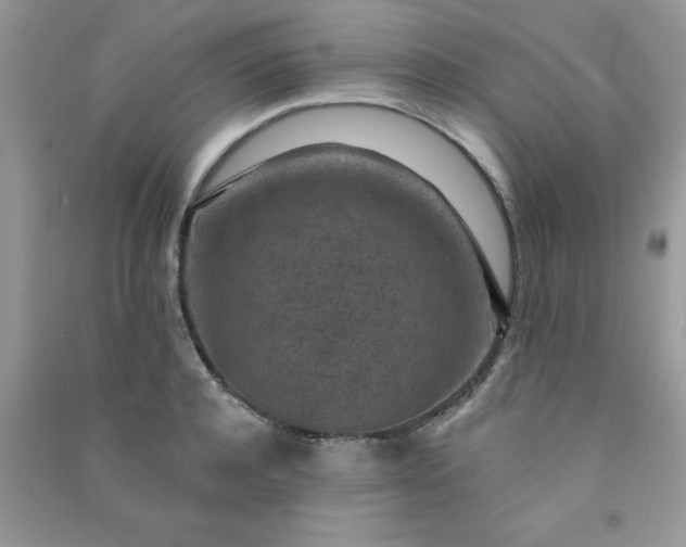 X0000091000944200708161935