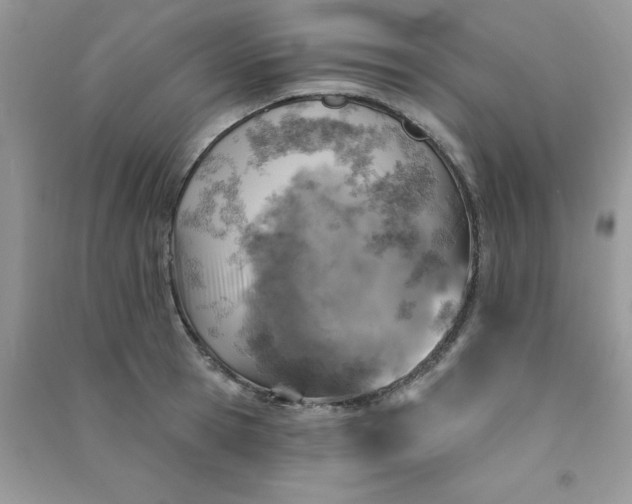 X0000091000945200708161935