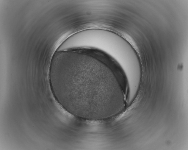 X0000091000946200708161935