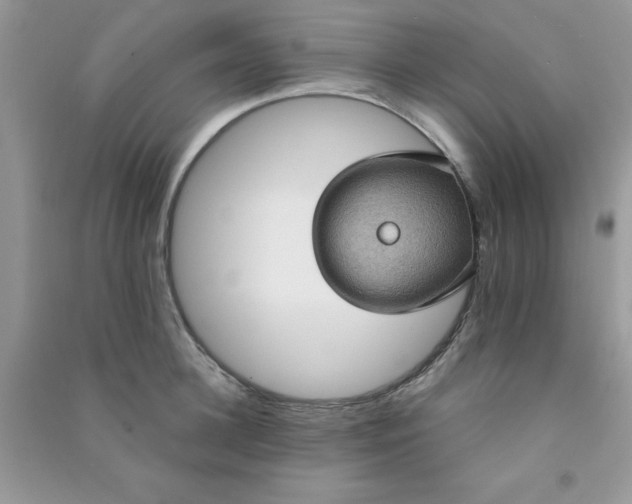 X0000091000948200708161935