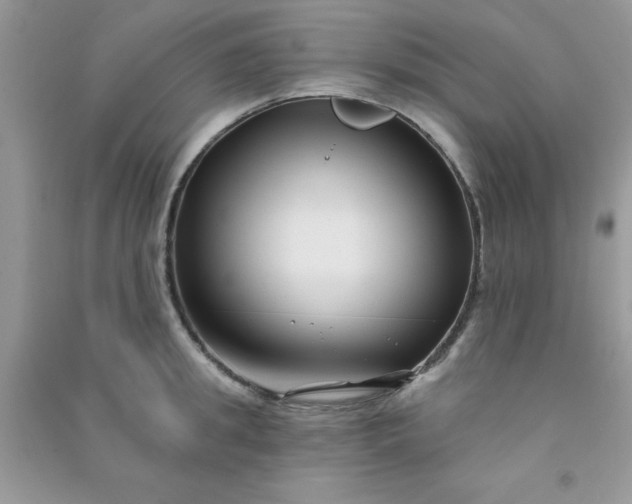 X0000091000949200708161935