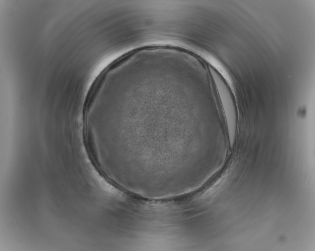 X0000091000951200708161935
