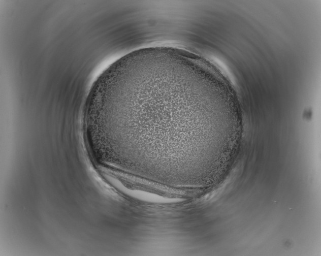 X0000091000952200708161935