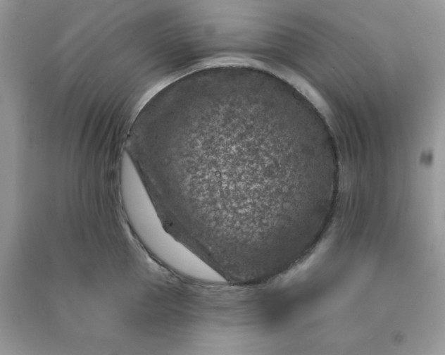 X0000091000953200708161935