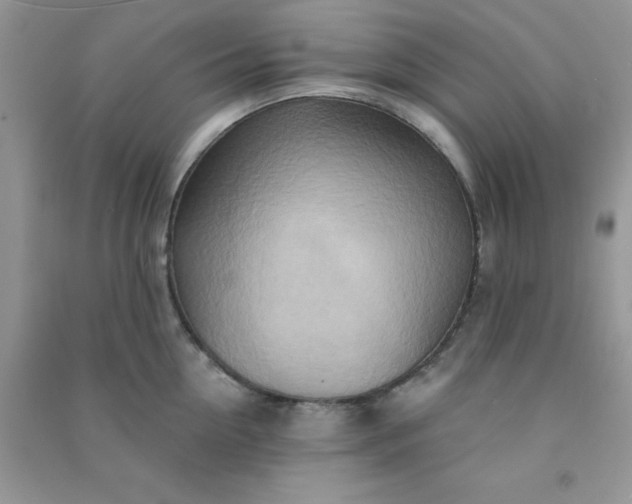 X0000091000954200708161935