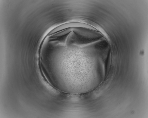 X0000091000955200708161935