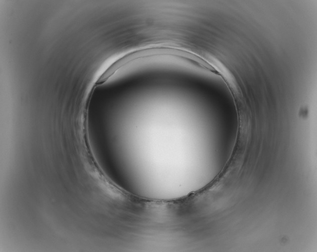 X0000091000956200708161935