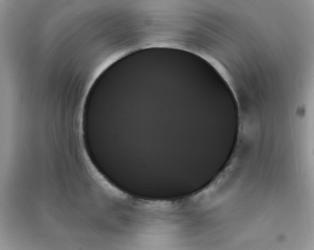 X0000091000957200708161935
