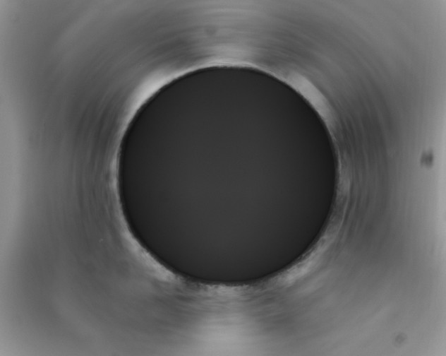 X0000091000958200708161935