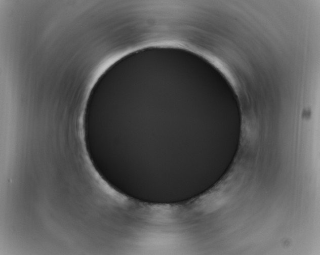 X0000091000959200708161935