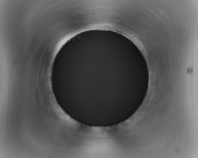 X0000091000960200708161935