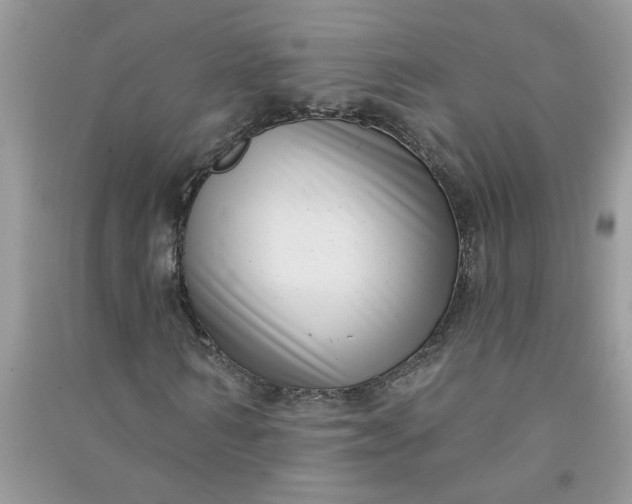 X0000091000962200708161935