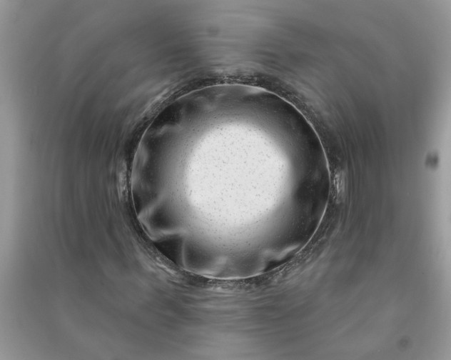 X0000091000963200708161935
