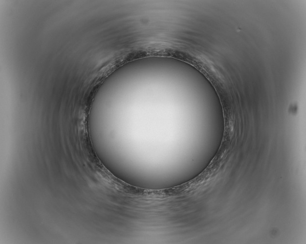 X0000091000964200708161935