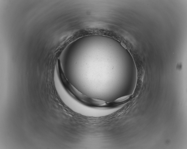 X0000091000965200708161935